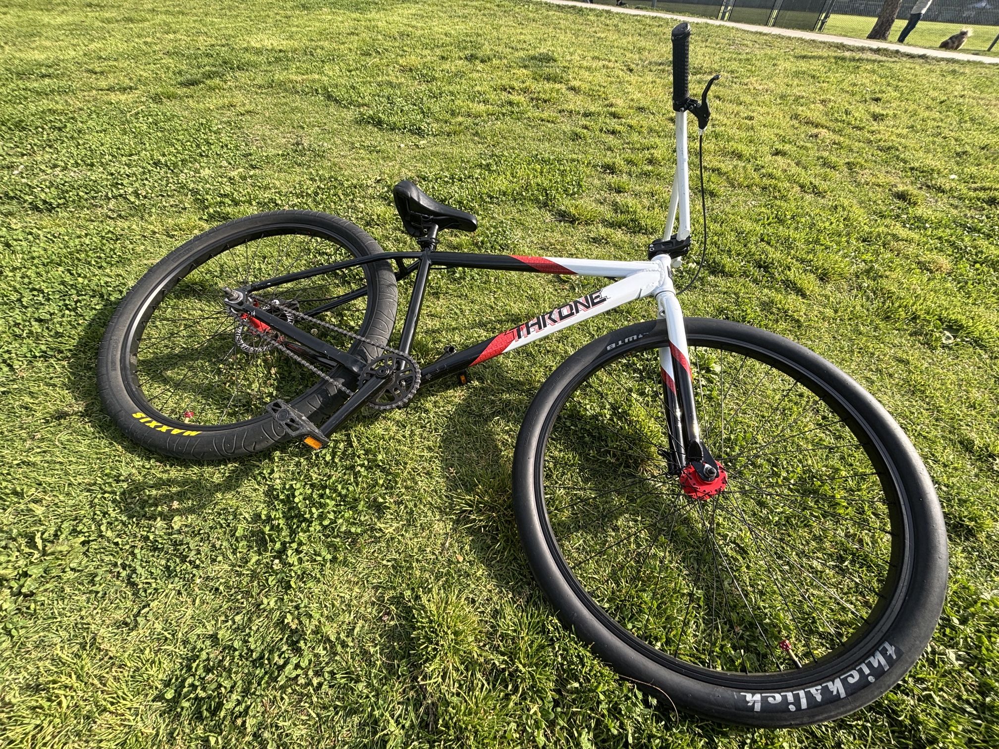 Throne Goon 29er