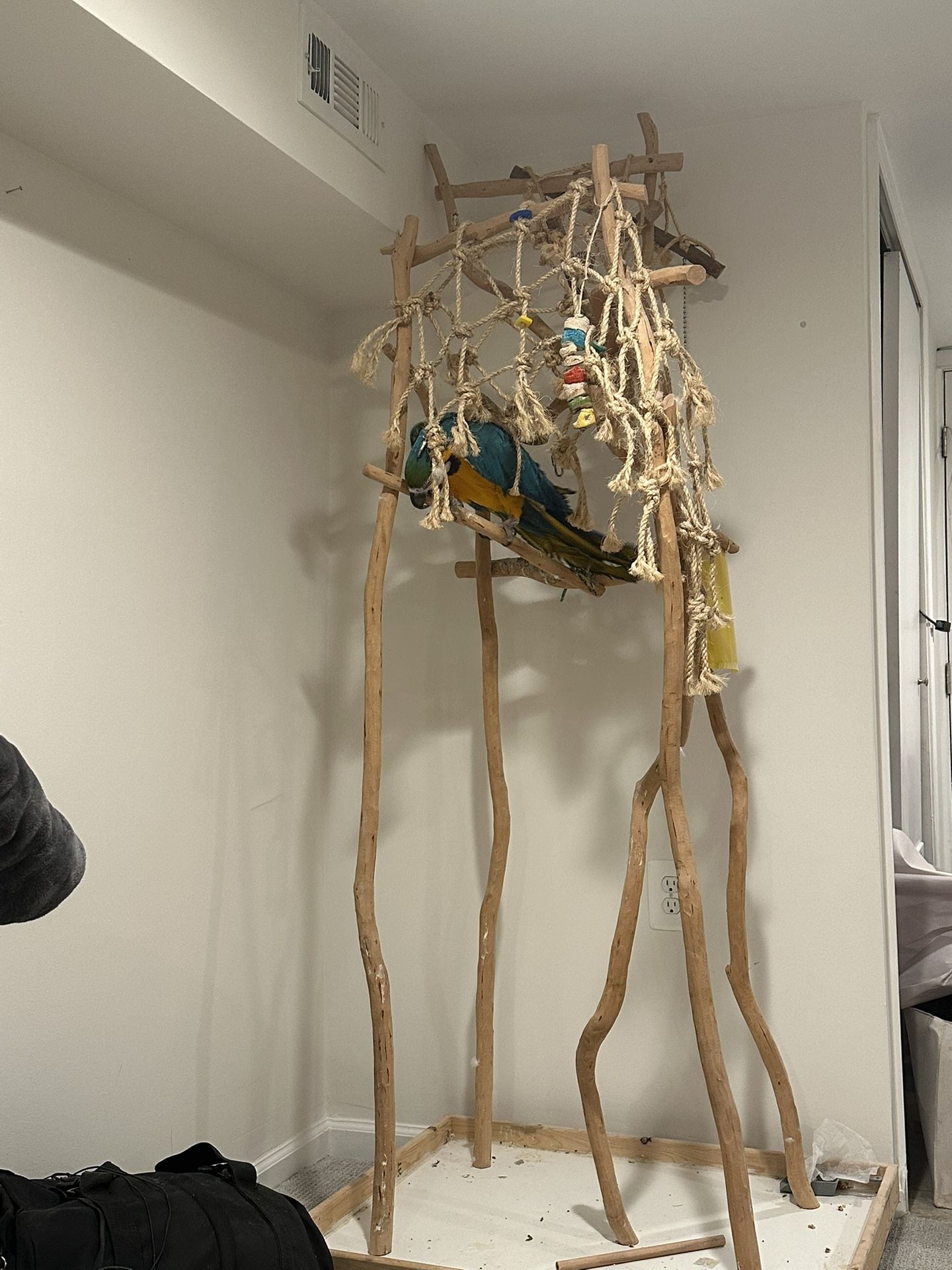 Parrot Stand 