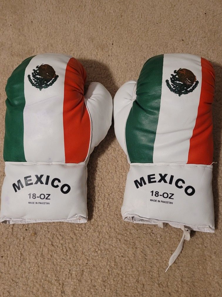 Boxing Gloves With Mexican Flag