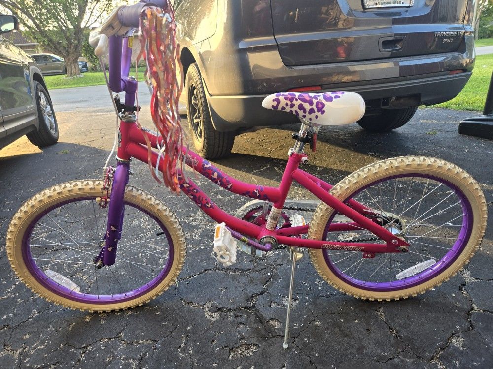 20" Inch Pink Girl's Bicycle