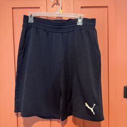 Puma Shorts Men’s L