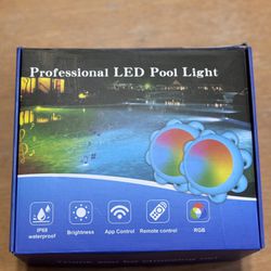 2 Pack LED Pool Lights