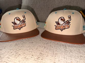 San Diego gulls hat