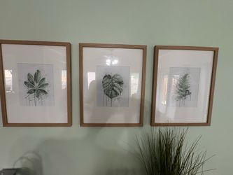 Set of 3 Framed Botanical Wall Art Prints