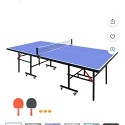 Ping Pong Table 