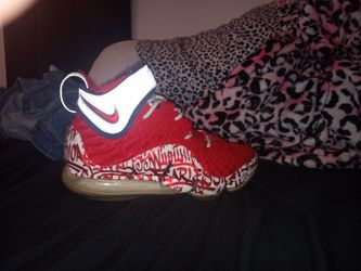 LeBron Graffiti 17s