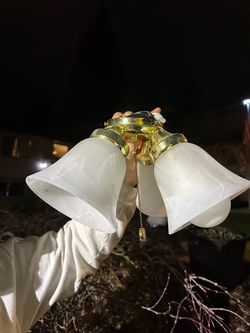 Ceiling Light for Sale