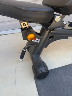 Weight Bench