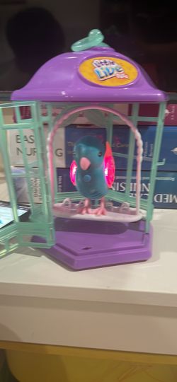 Little Live Talking Bird 
