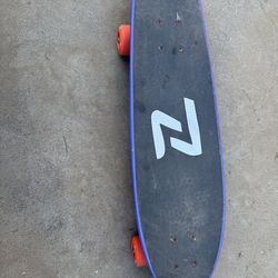 Z flex long board