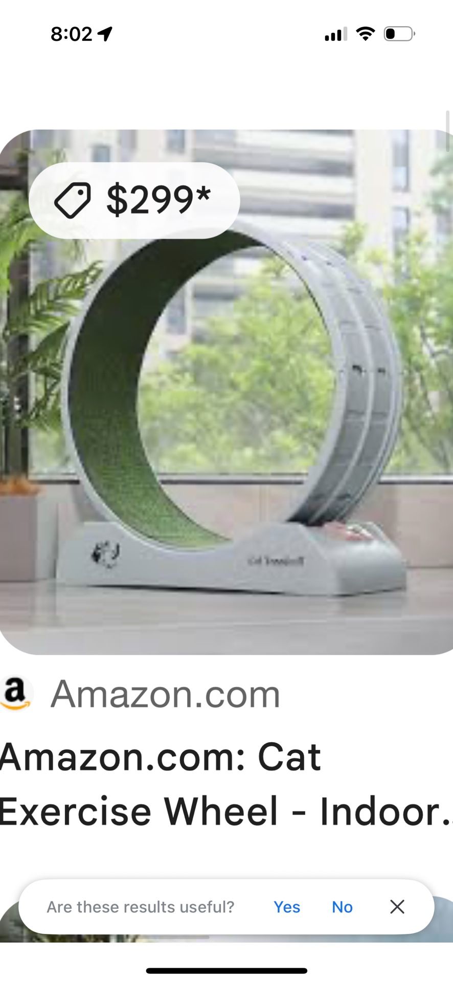 LOW PRICE MOVING- $300 + TAX/SHIPPING NEW CAT EXERCISE WHEEL
