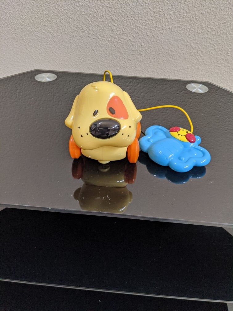 Little Dog