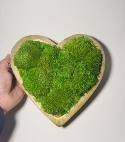 Moss Art
