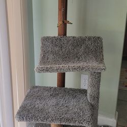 Cat Tower