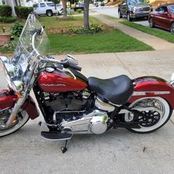 2019 Harley Davidson Soft Tail