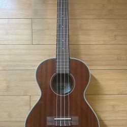 KALA KA-TG Acoustic Ukulele