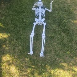 7' Tall Skeleton 