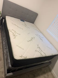 Queen Bed