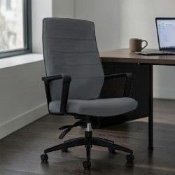 Luray™ Upholstered High-Back Executive Chair – New – $650 📦 Miami