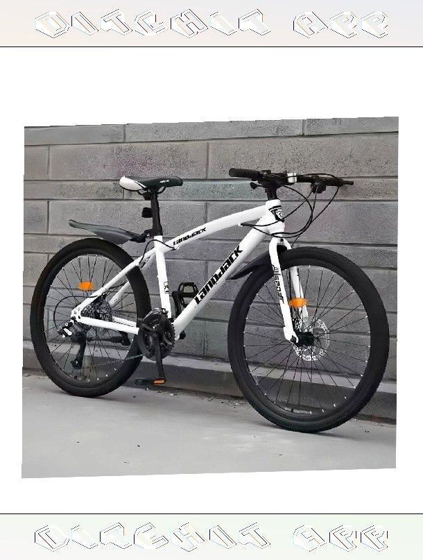 Mature Bike Easy Riding for Everyday Use unit life