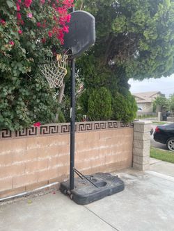 Basketball court