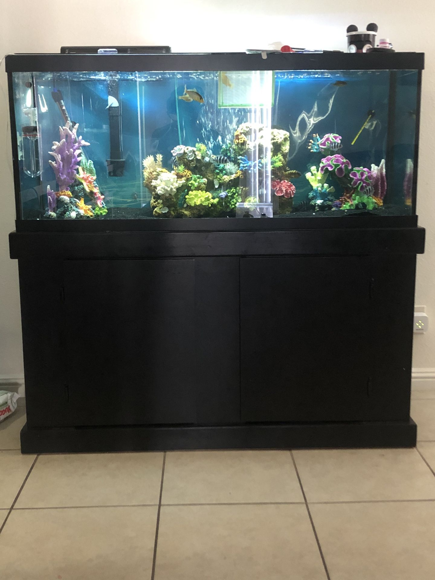 75 gal fish tank