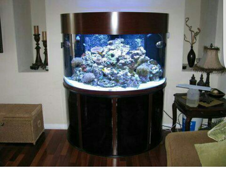 Oceanic 76 gallon half circle fish tank
