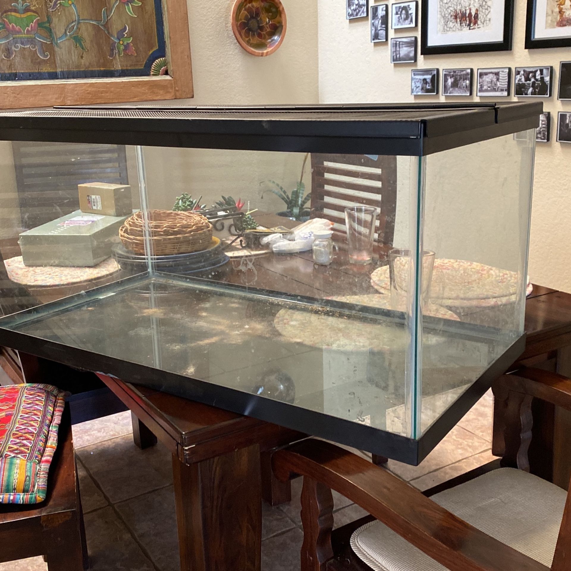 40 Gallon terrarium. Free