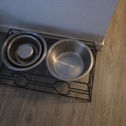 Dog Bowl 