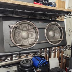 Two Boss 10 Inch Subwoofer