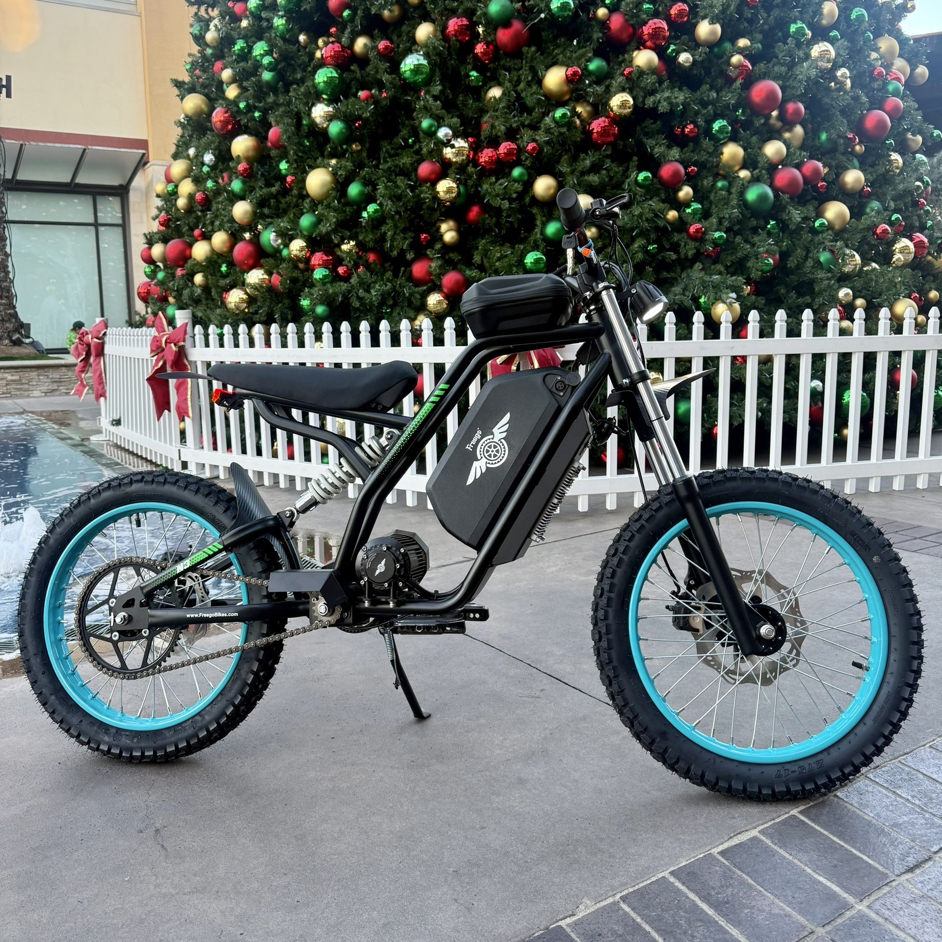 Electric Bike