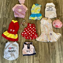 Dog clothes & Accessories 