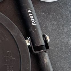 Rogue Fitness Land Mine 