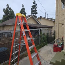 8ft ladder