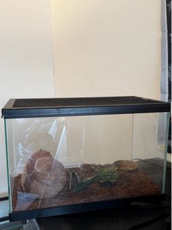 10 gallon tank