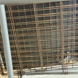 Big Dog Cage 