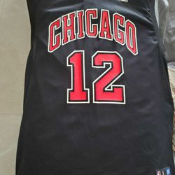 Jersey Chicago Bulls Hinrich