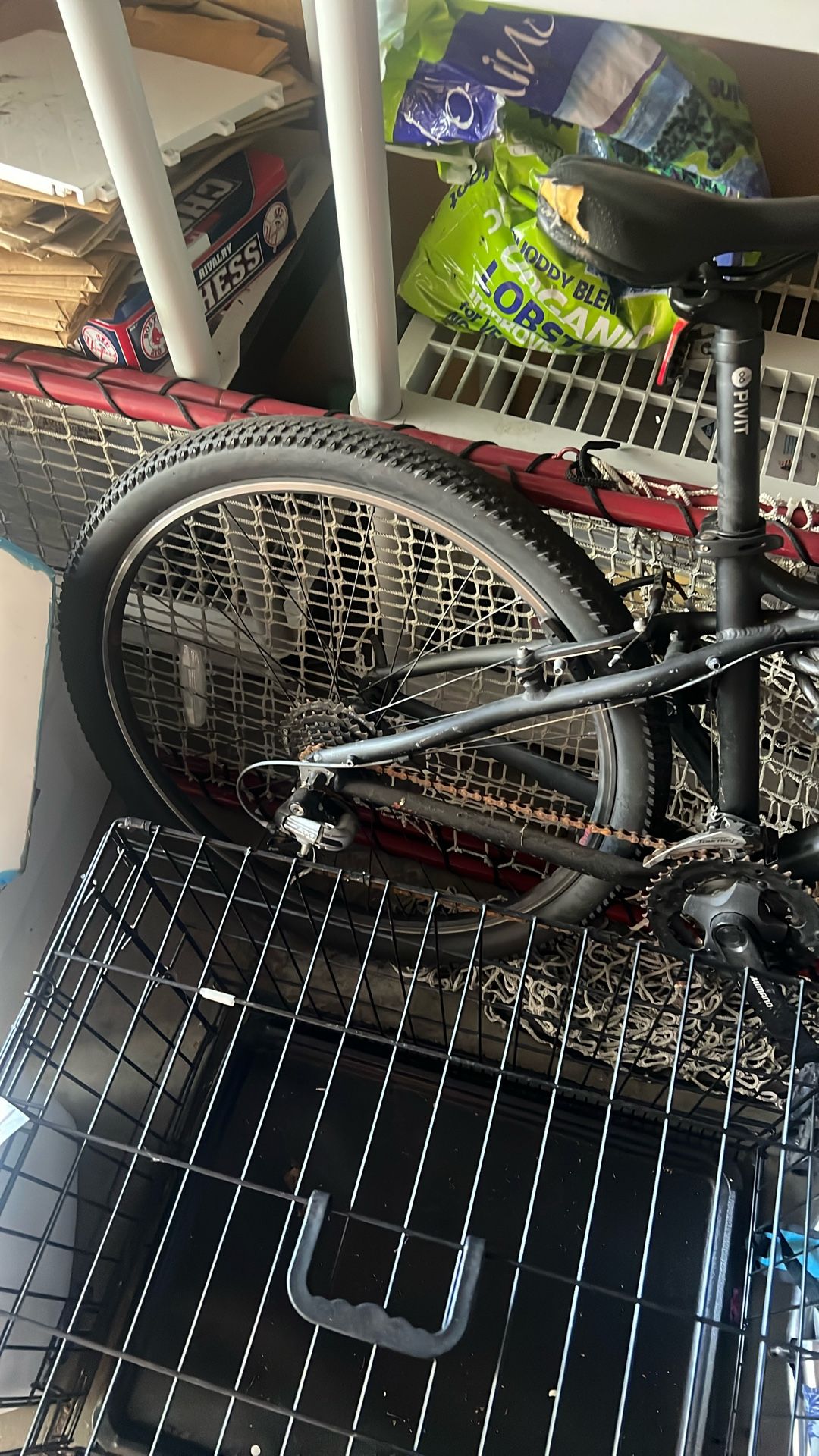 bike