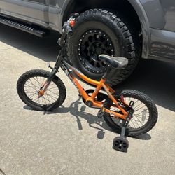 Giant Animator 16 Bike