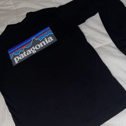 Camiseta Patagonia 