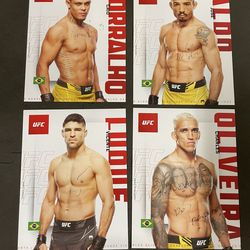 UFC- Signed Mini Posters