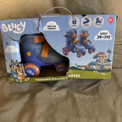 Trainer Roller Skates