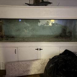 Very large Fish Tank!