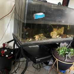 Fish Tanks Of All Sizes