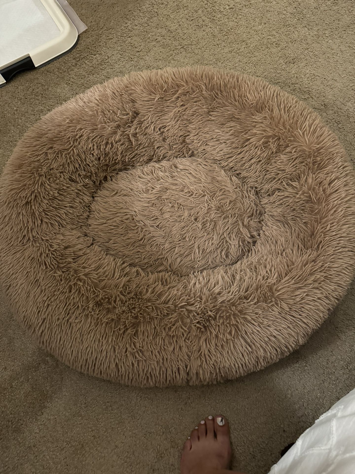 Dog bed 