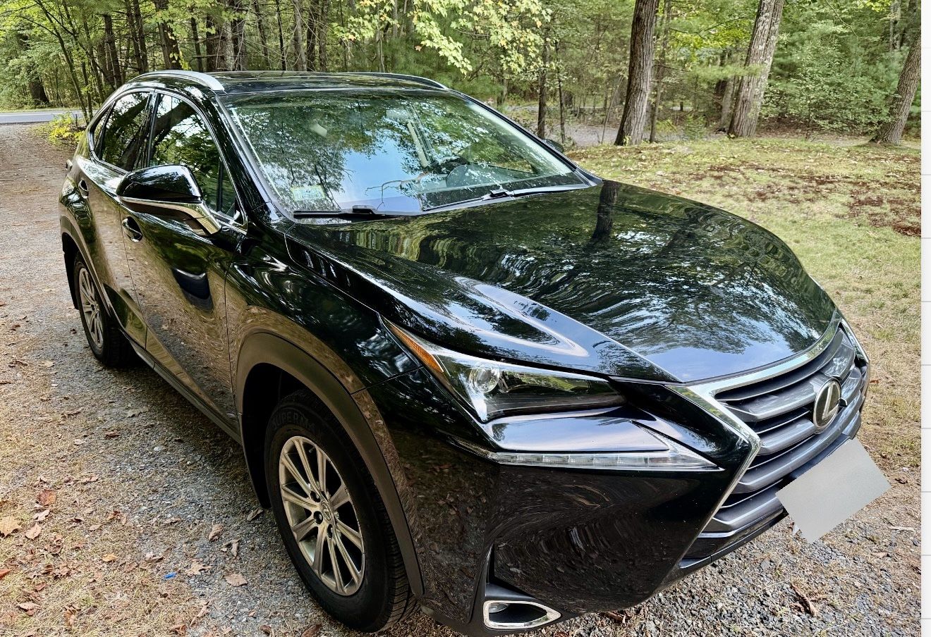 2017 Lexus NX 200t