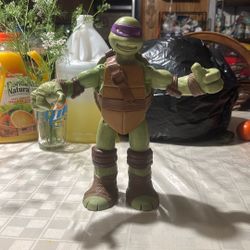 Ninja Turtle