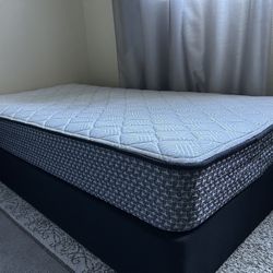 Twin Sealy brand mattress together with the box spring 