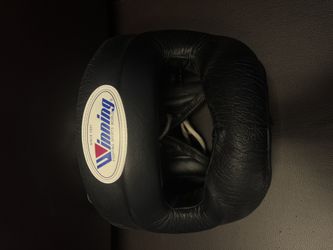 Winning Helmet