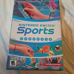 Nintendo Switch Sports Game